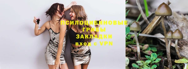a pvp Володарск