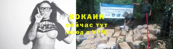 a pvp Володарск