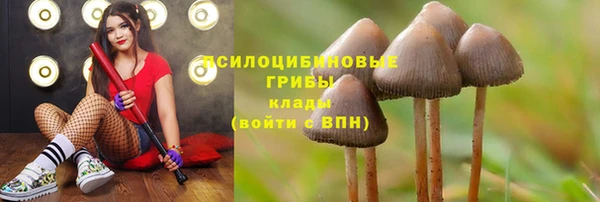 мяу мяу кристалл Верея