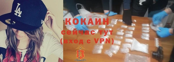 гидра Волосово
