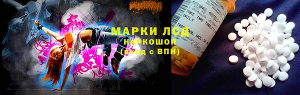 a pvp Володарск