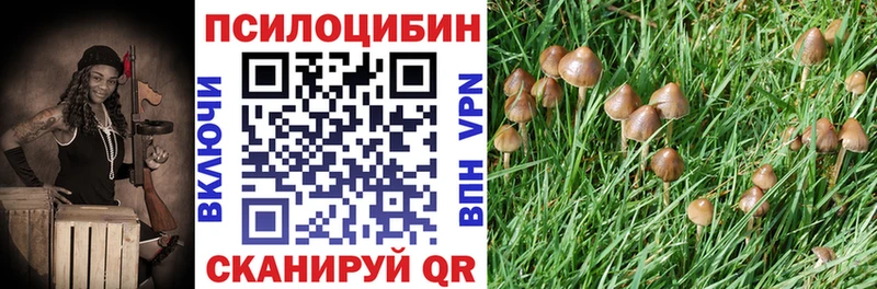 Псилоцибиновые грибы Magic Shrooms  Купить где  Лесозаводск 